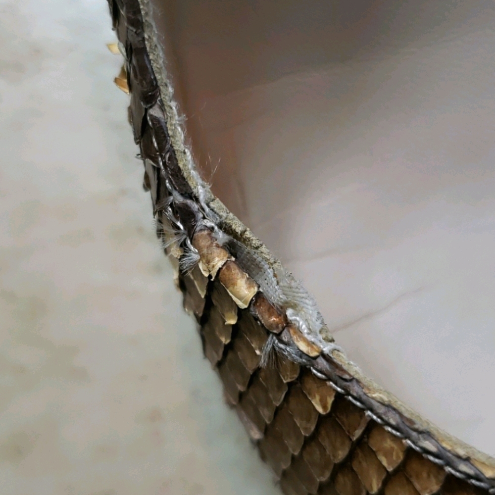 Stuart Weitzman Snake Skin Pumps size 8.5AA/Narrow - Picture 10 of 10